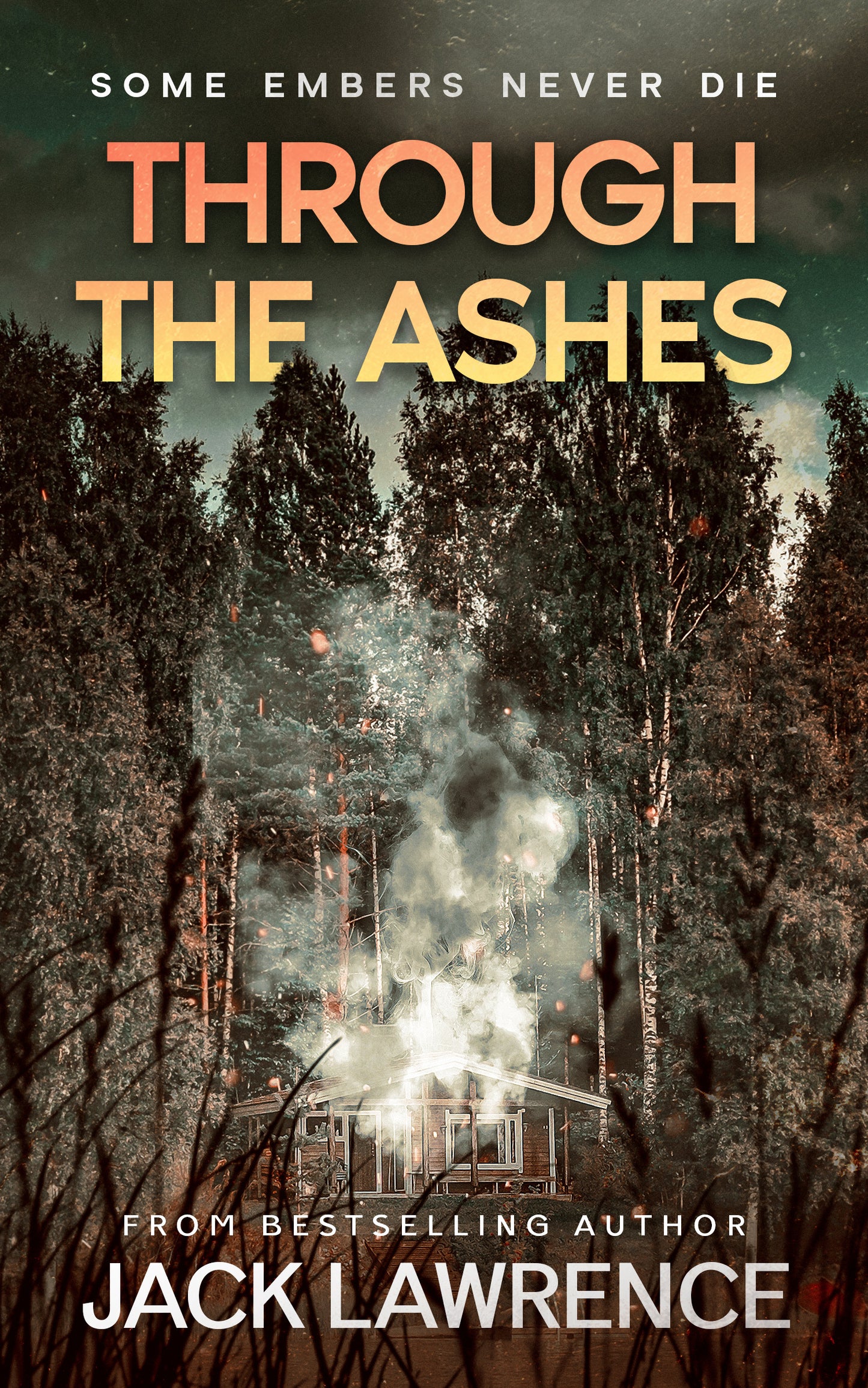 Through The Ashes